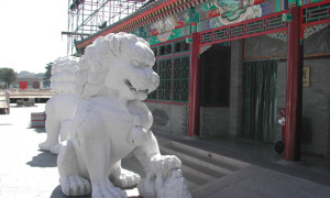 China0029